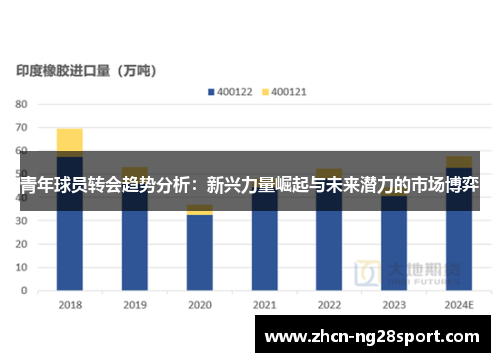青年球员转会趋势分析：新兴力量崛起与未来潜力的市场博弈