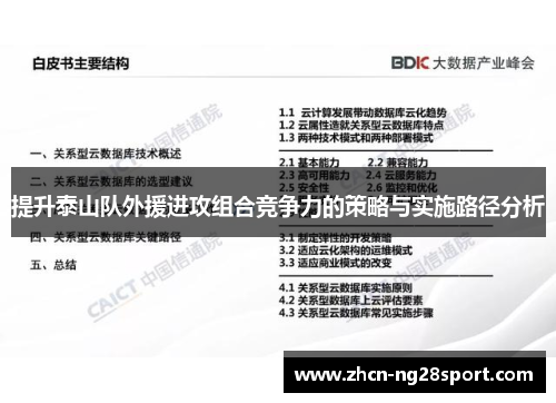 提升泰山队外援进攻组合竞争力的策略与实施路径分析