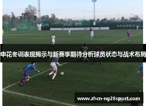 申花冬训表现揭示与新赛季期待分析球员状态与战术布局